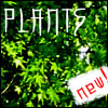 PLANTS